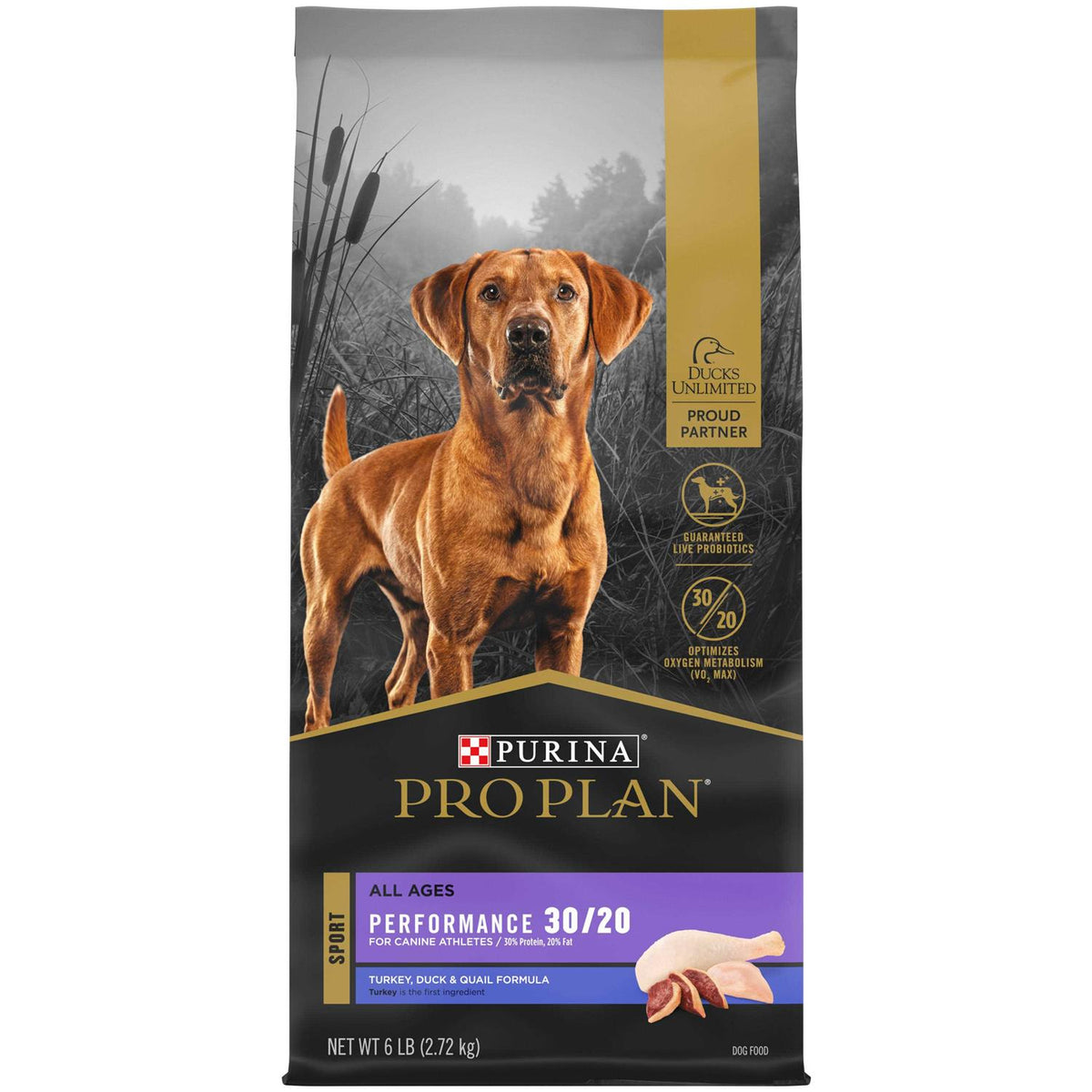 Dry Dog Food I152903