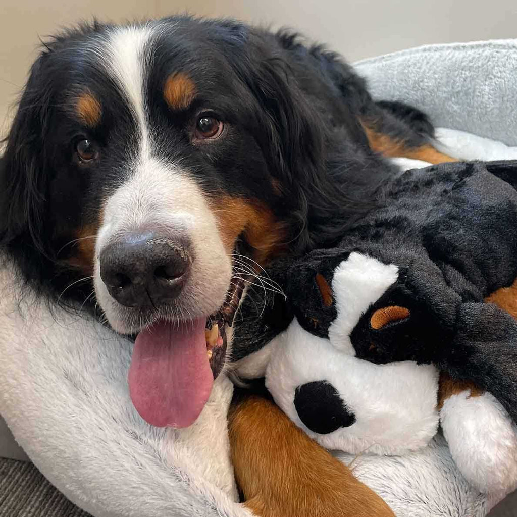 Heartbeat Toy for Pet Anxiety Relief K480818