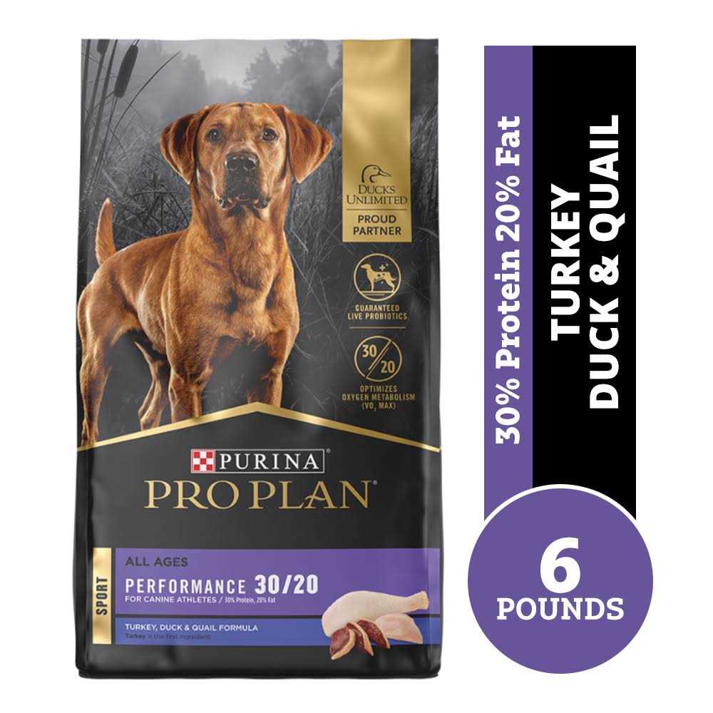 Dry Dog Food I152903