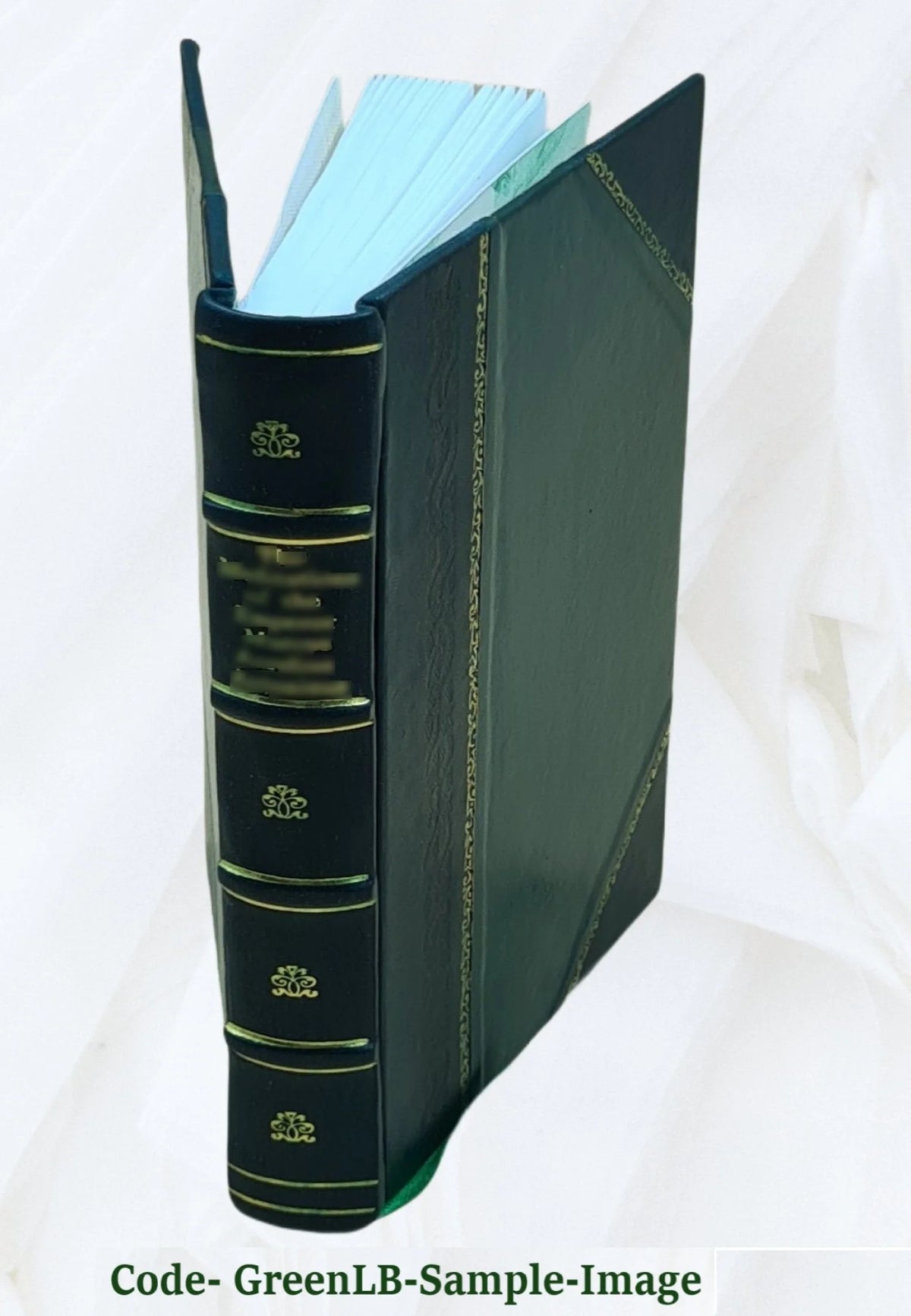 Leather Bound Book C260