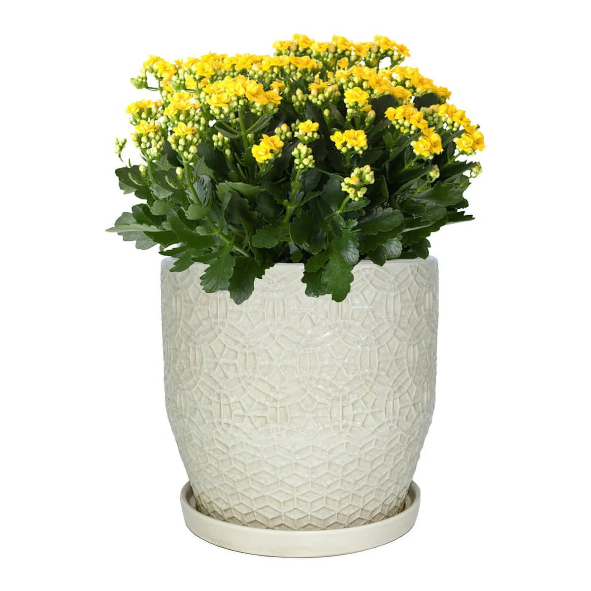 10" Round White Ceramic Planter L892070