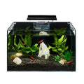 Aquarium O613