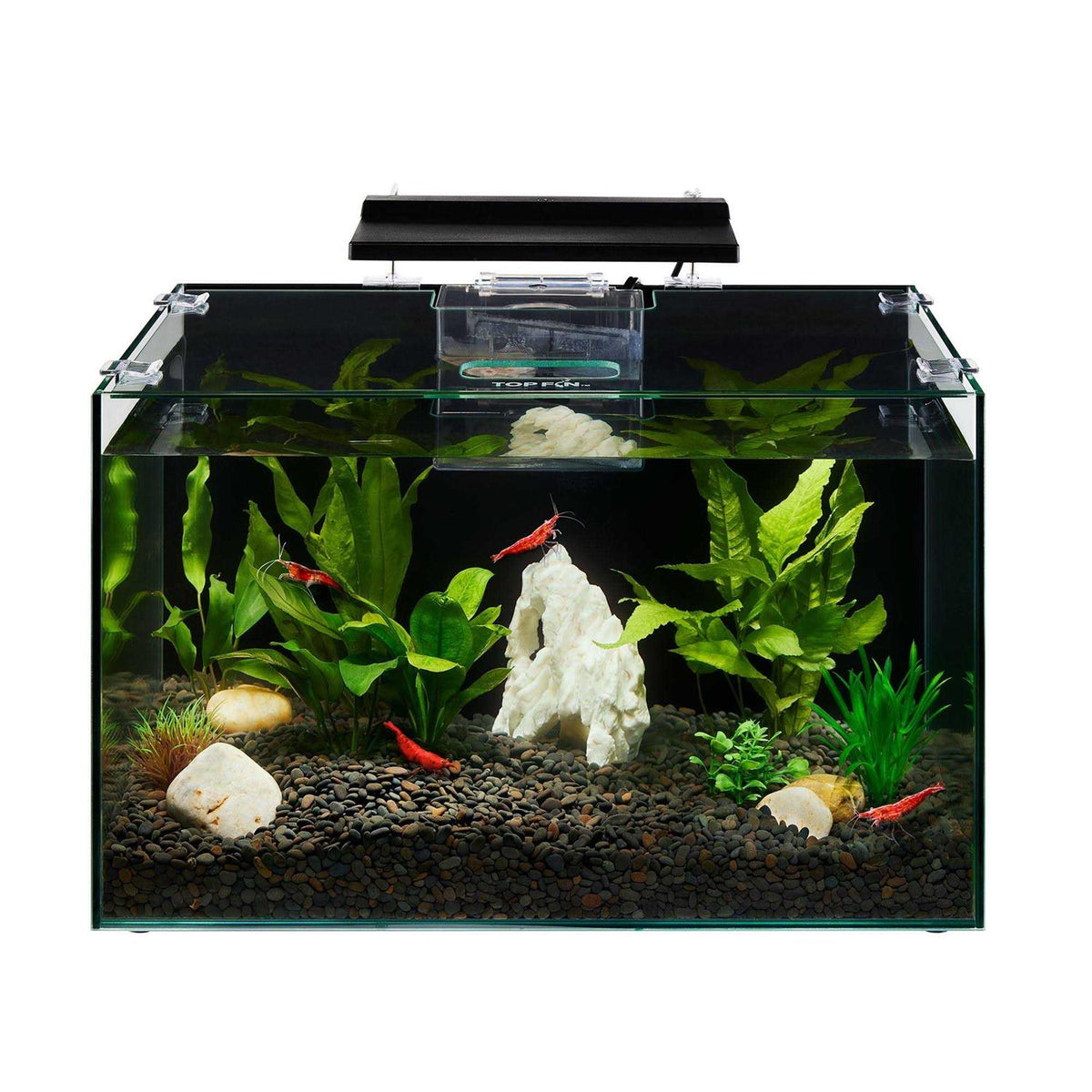 Aquarium O613