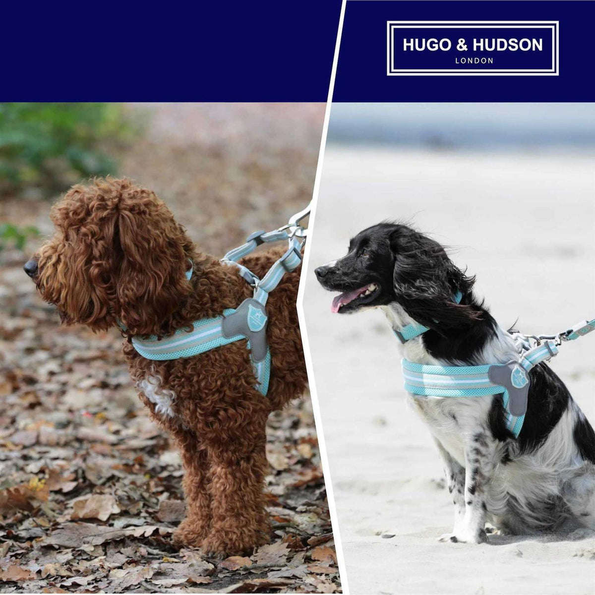 Dog Harness L603