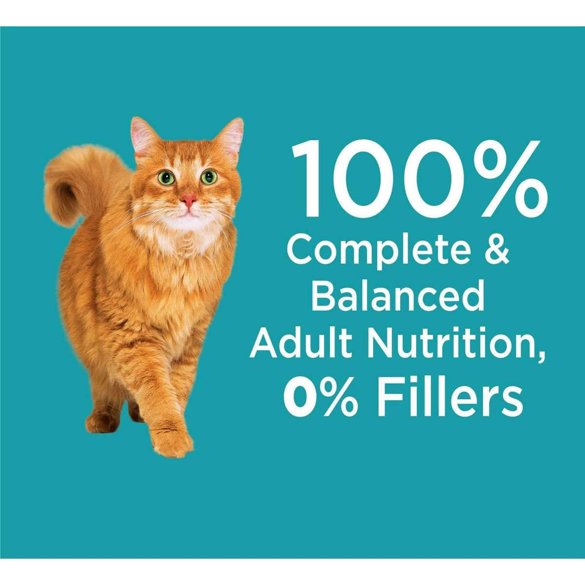 Indoor Dry Cat Food O649937
