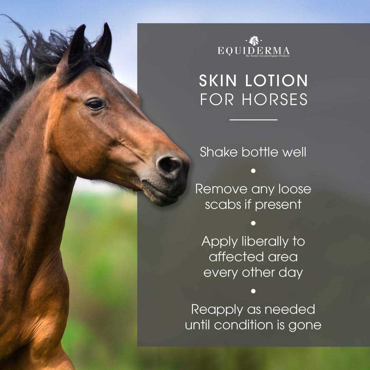 Skin Lotion U5338