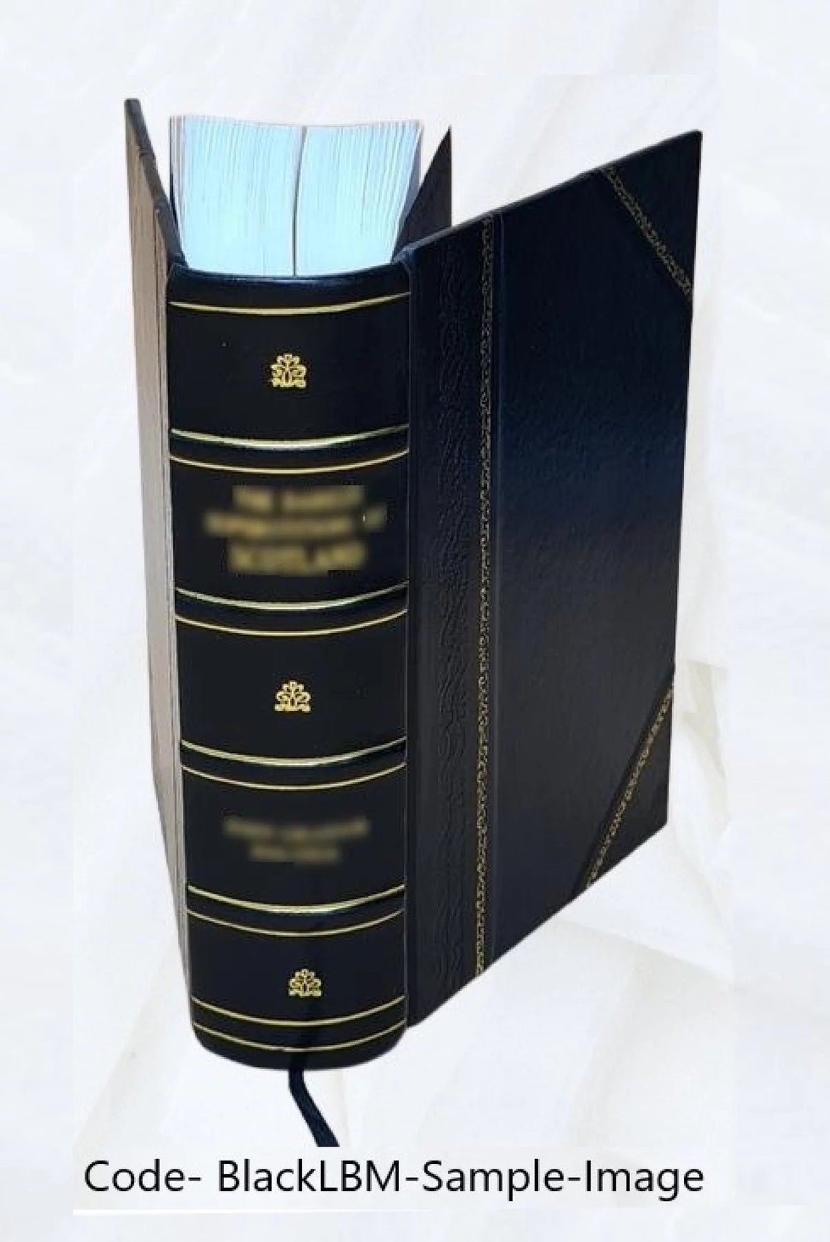 Libros Annalium C. Cornelij Taciti qui extant B394526