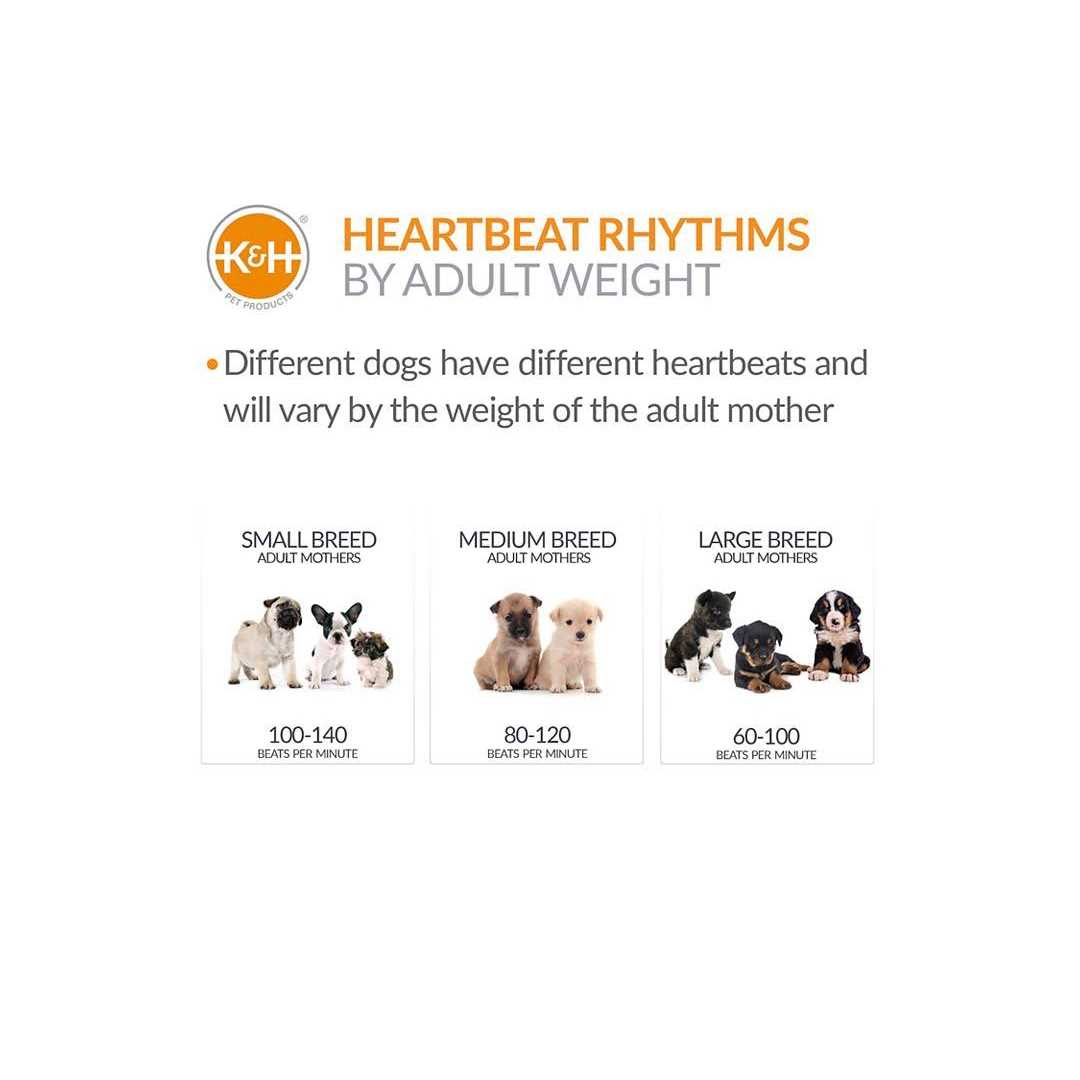 Puppy Crate Pad I1407
