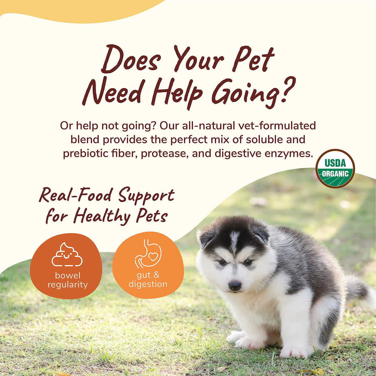 Organic Pumpkin Powder for Dogs & Cats 8 Oz Z5283