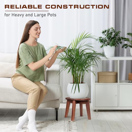 Acacia Wooden Plant Stand with Spill-Proof Tray M455