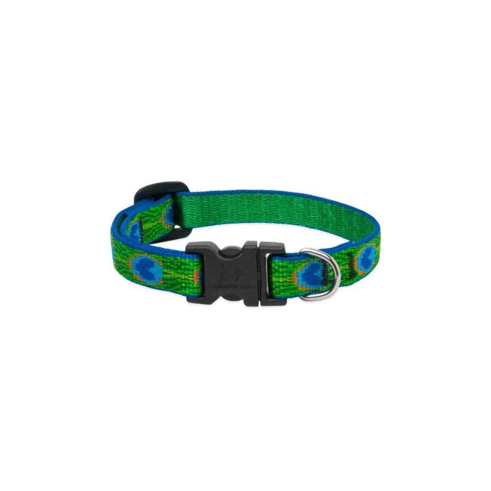 Dog Collar Y874426