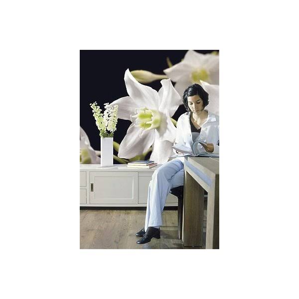 Madonna Wall Mural F446894