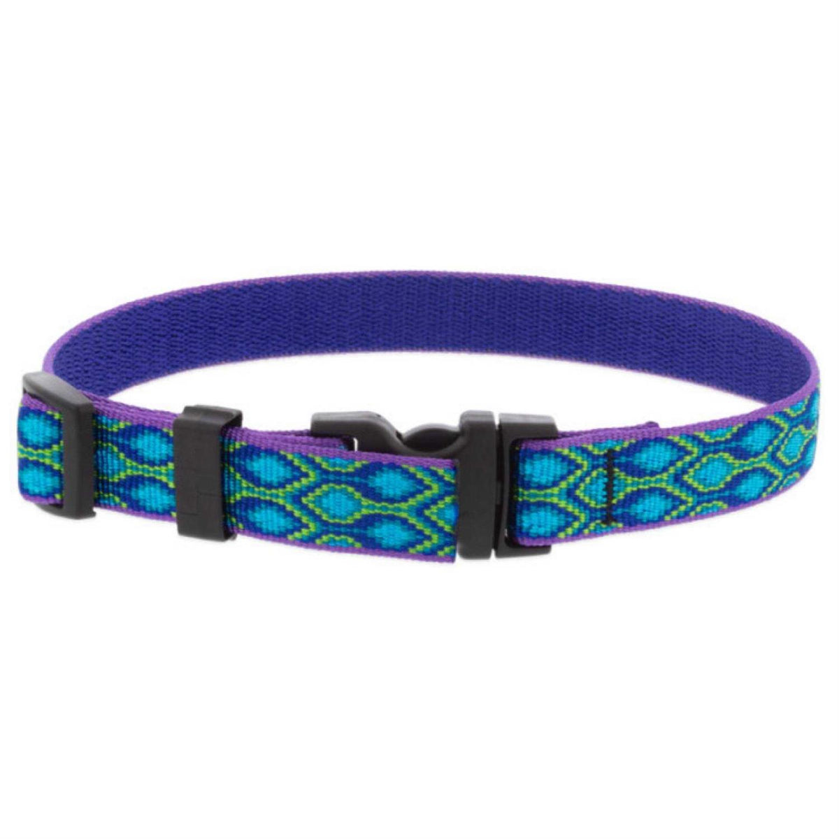 Dog Collar Y874426