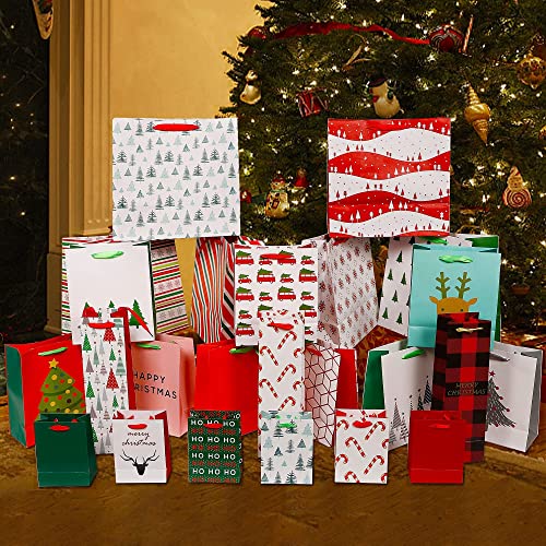 24 Packs Assorted Size Art Paper Gift Bags with Handles Z25784
