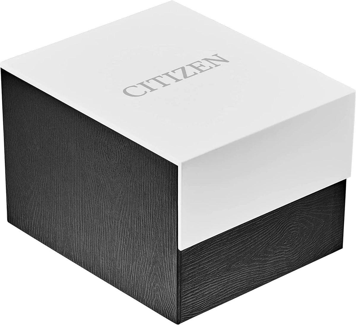 Men's Stainless Steel Watch F17119
