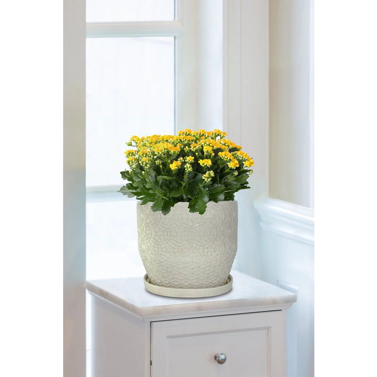 10" Round White Ceramic Planter L892070