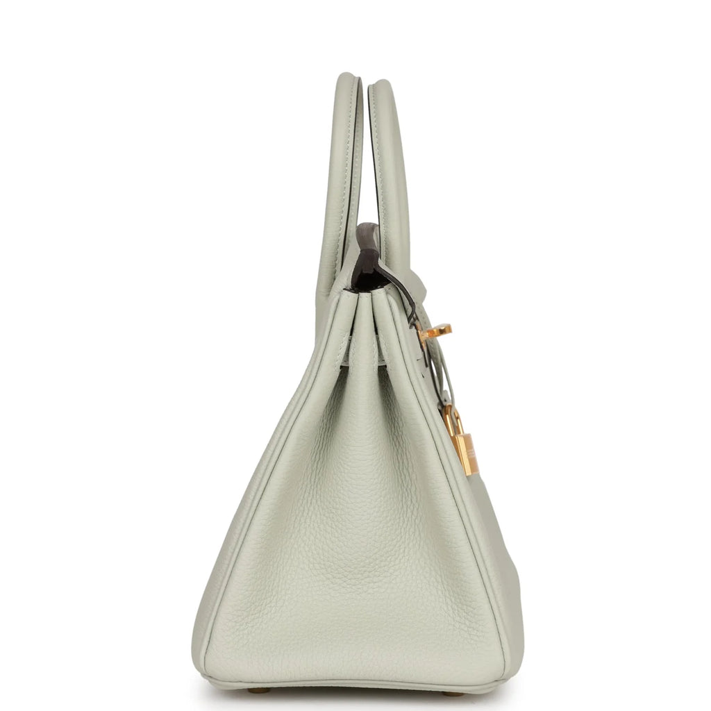 Birkin 25 Togo C739