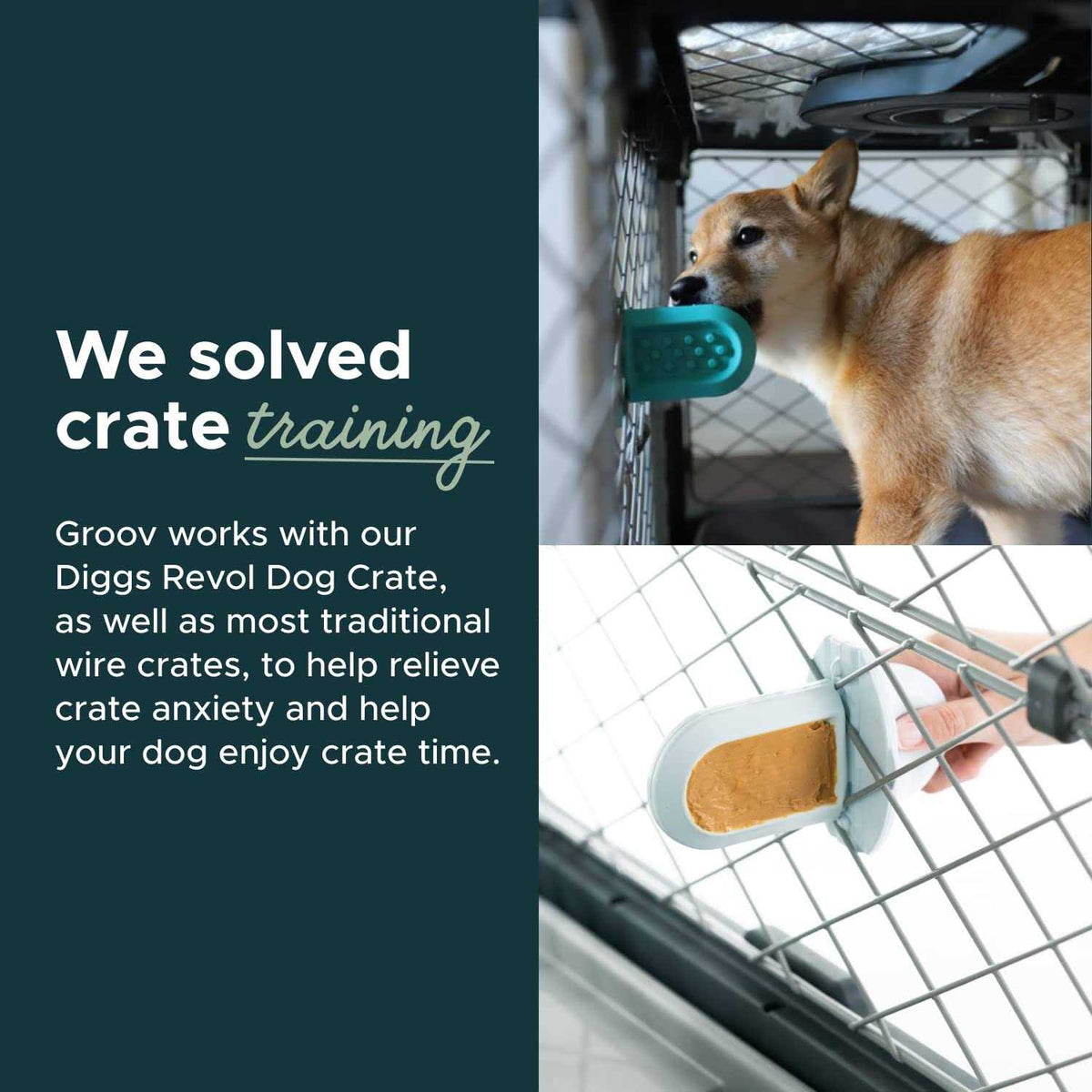 Dog Crate Training Aid Q498