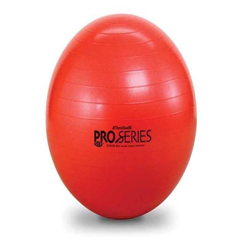 Exercise Balls T13734