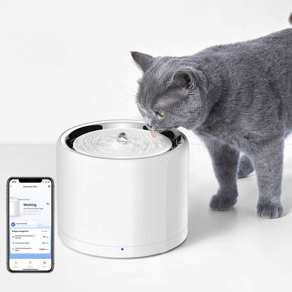 Pet Water Fountain O709692