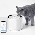 Pet Water Fountain O709692