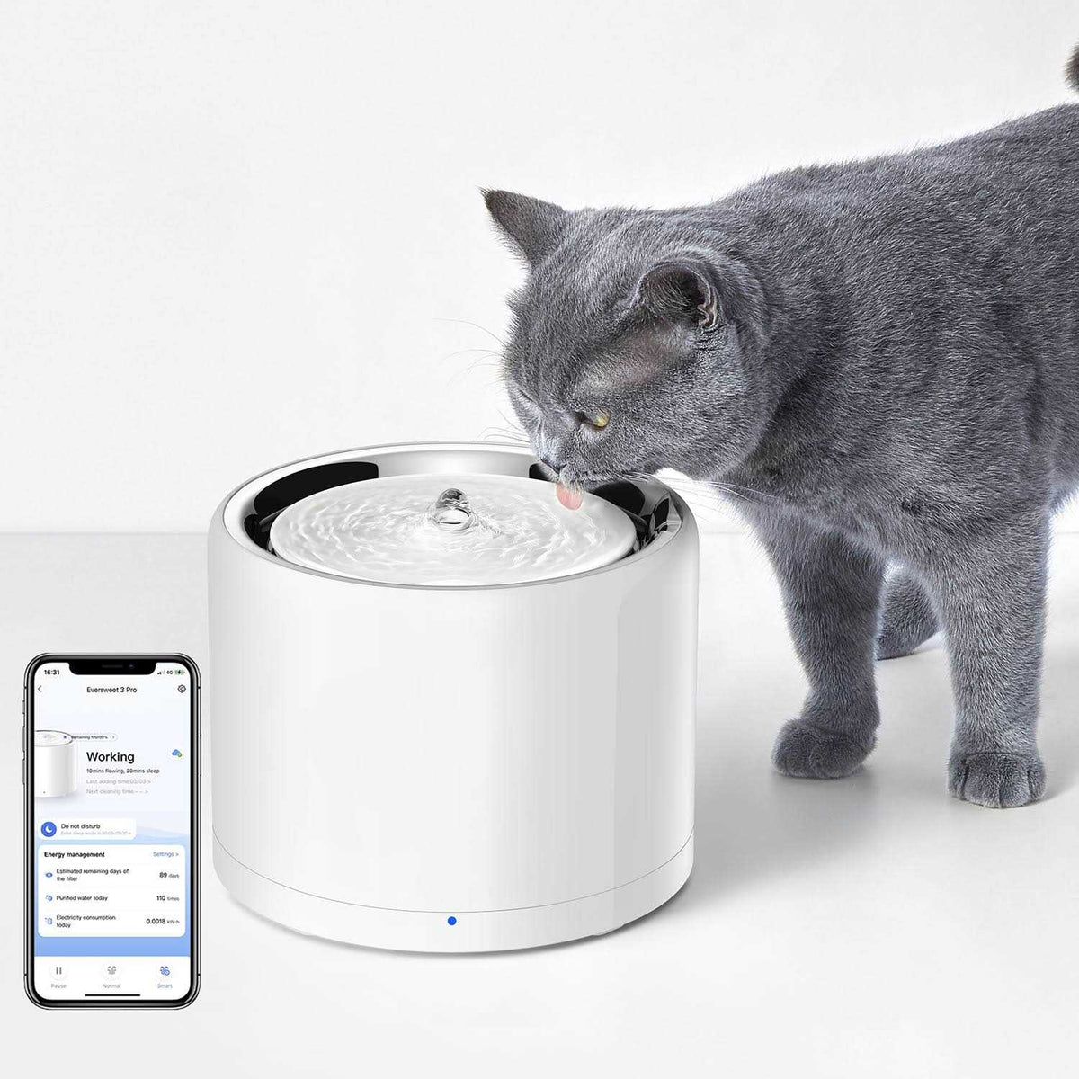 Pet Water Fountain O709692