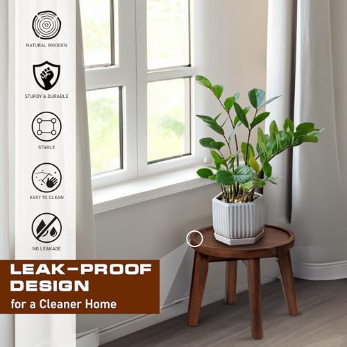 Acacia Wooden Plant Stand with Spill-Proof Tray M455