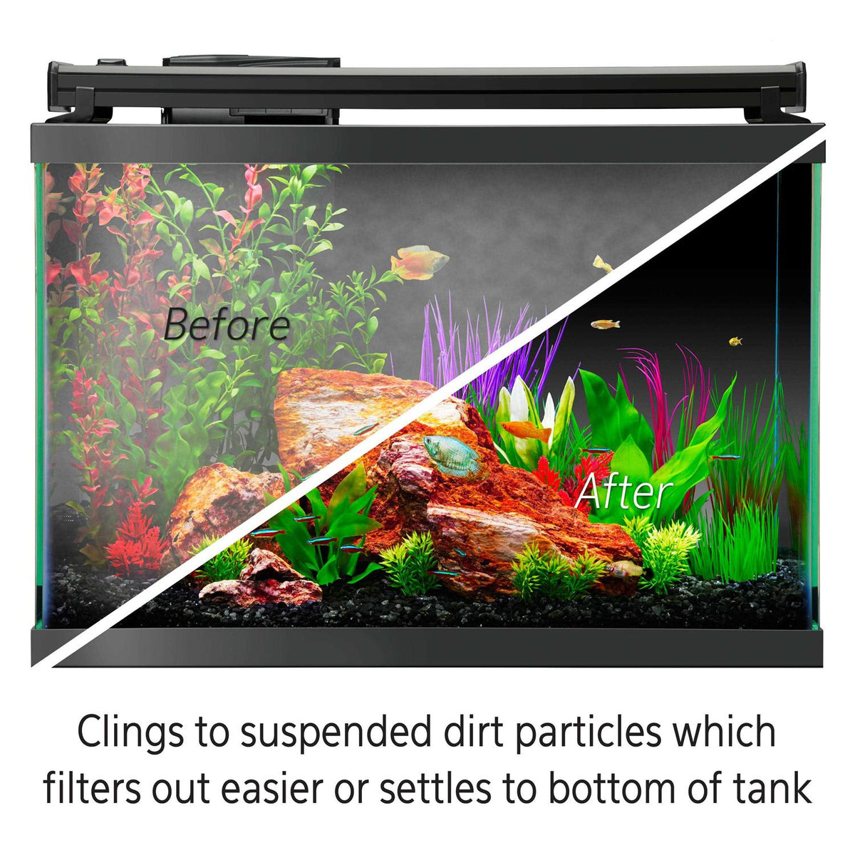 Water Clarifier C8298