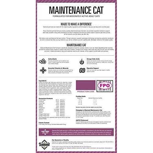 Dry Cat Food K393882