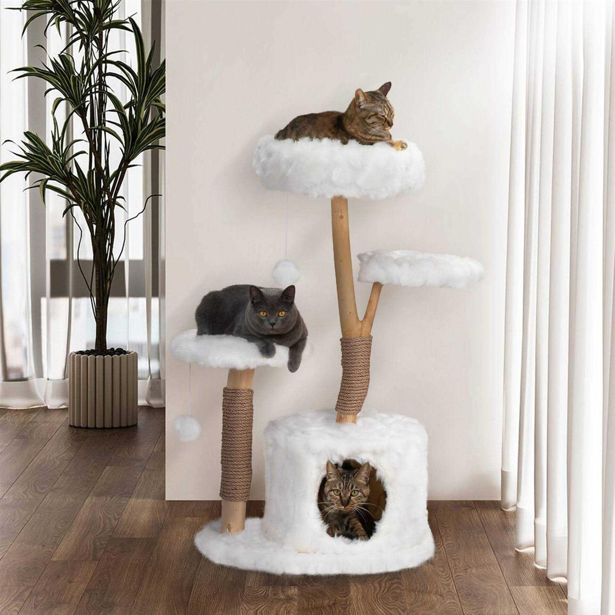 Cat Tree Cat Condo F42549