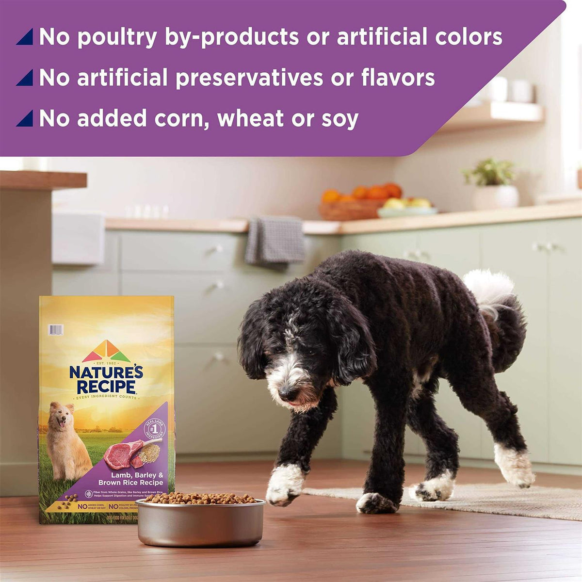 Adult Dry Dog Food Q9370