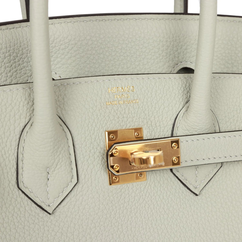 Birkin 25 Togo C739