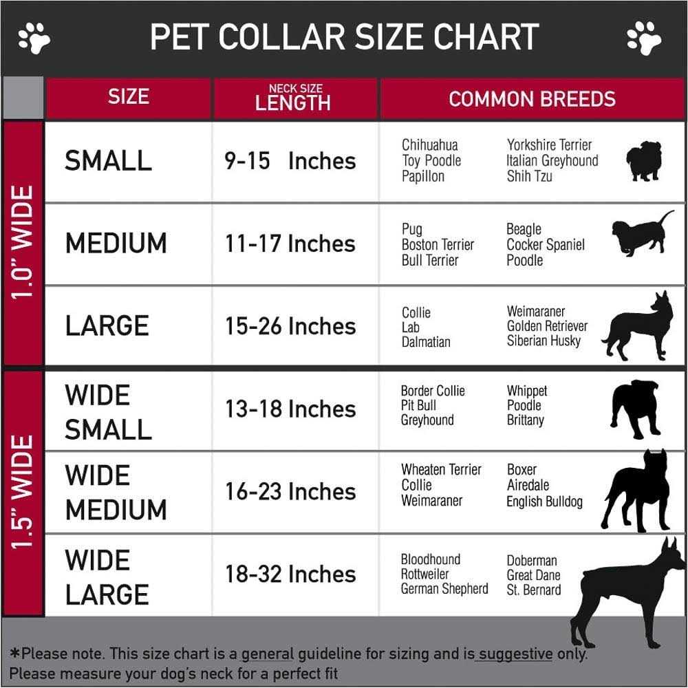 Dog Collar Seatbelt Buckle X118436