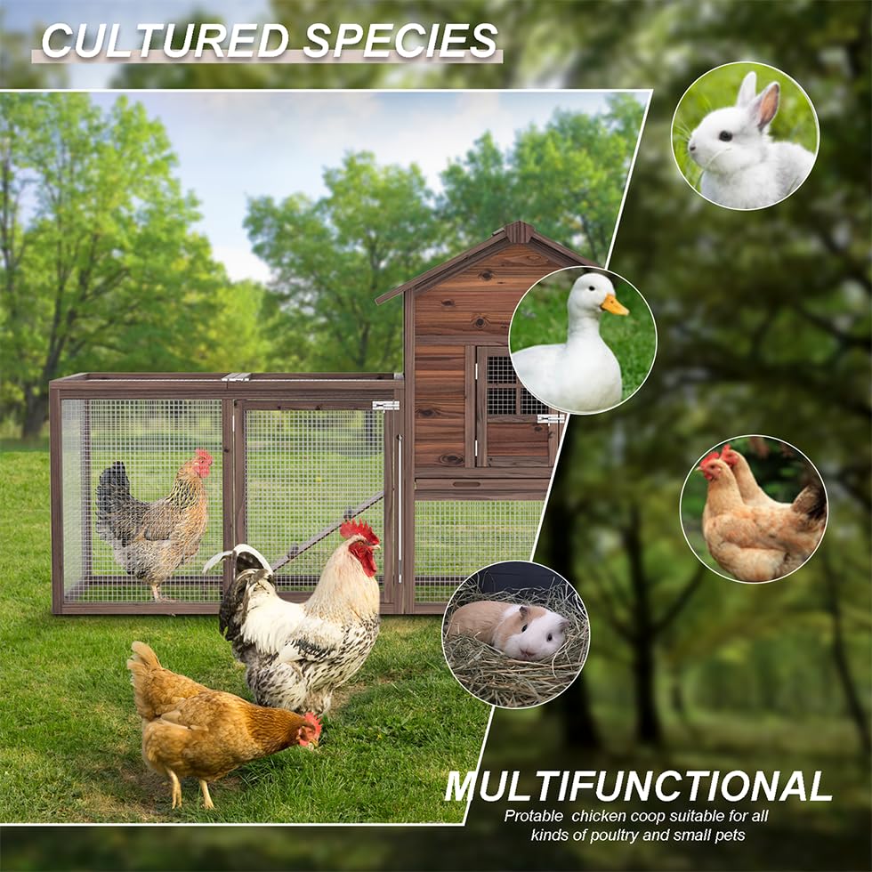 Large Wooden Chicken Coop with Nesting Boxes G555038