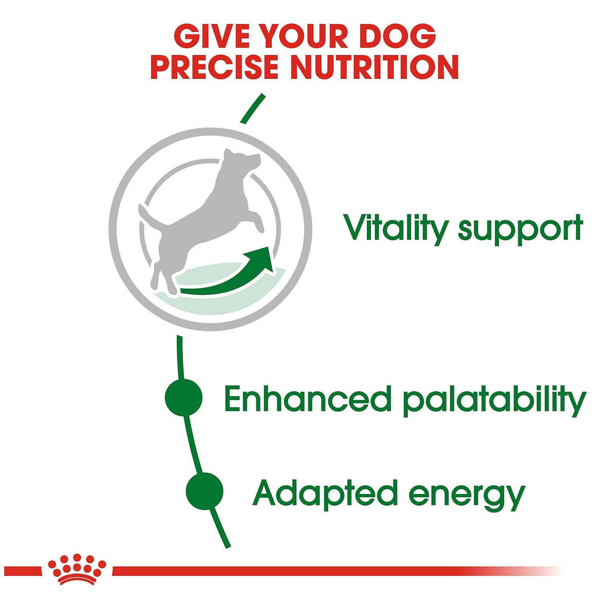 Small Adult 8+ Dry Dog Food E5819