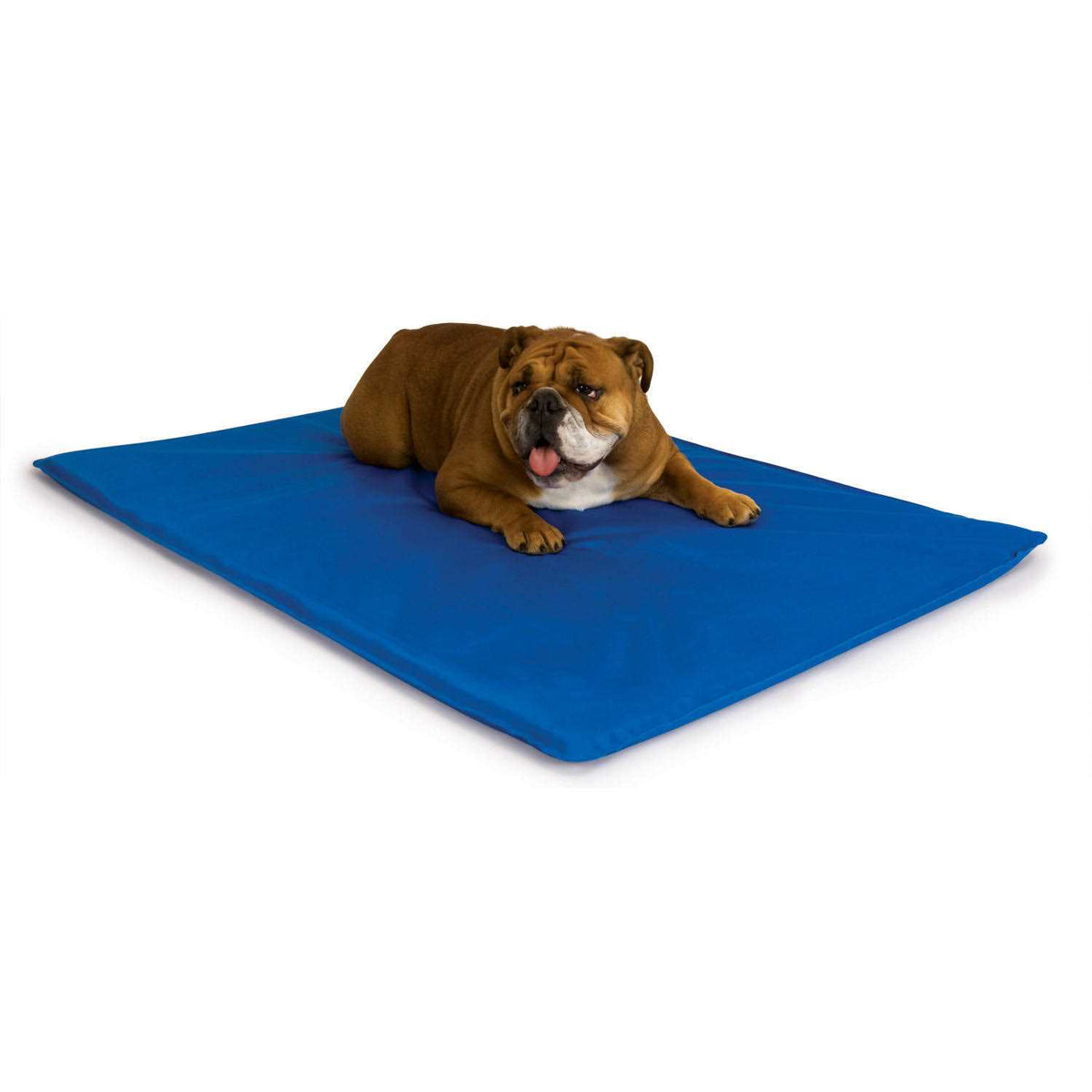 Cool Pet Bed U64126