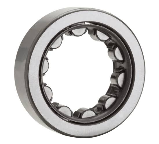 Cylindrical Roller Bearing, 20 mm ID x 47 mm OD x 18 mm W, Open T203