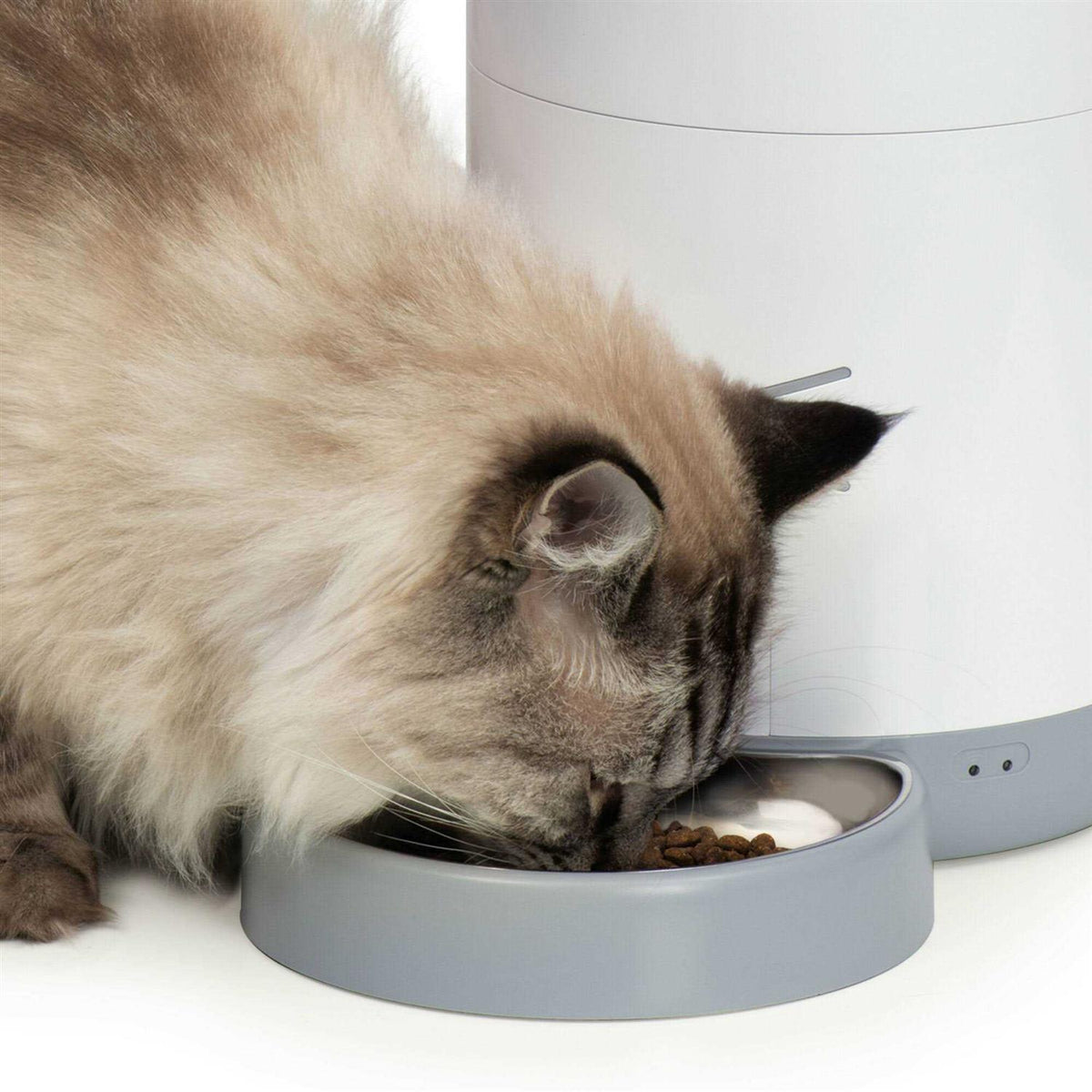 Smart Feeder P83514