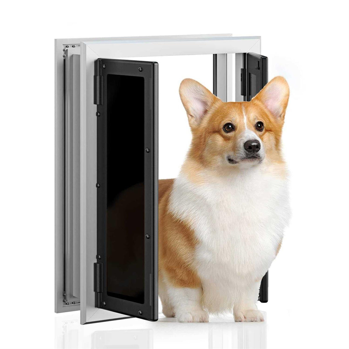 Aluminum Pet Door with Double Panels L43404