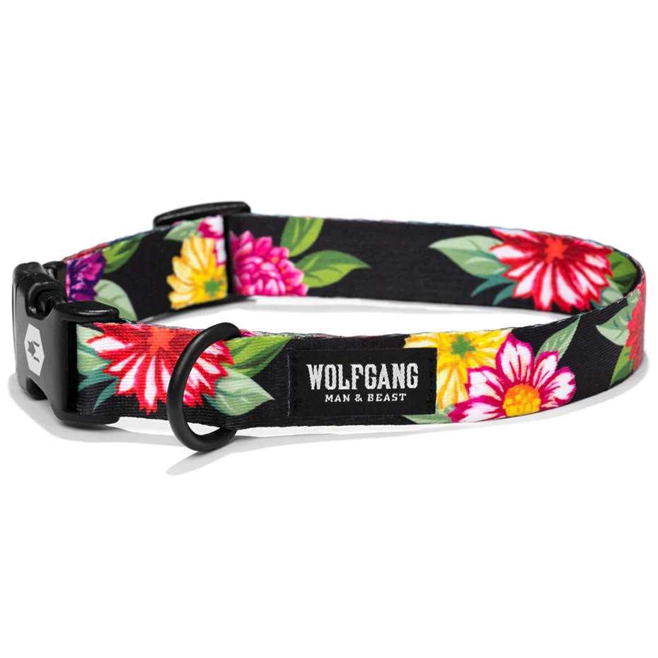 Dog Collar F414606