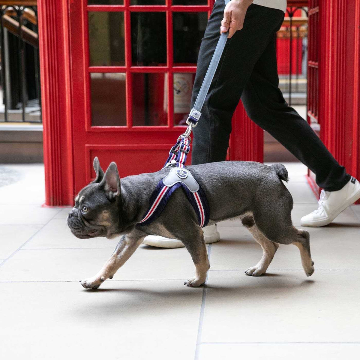 Dog Harness L603