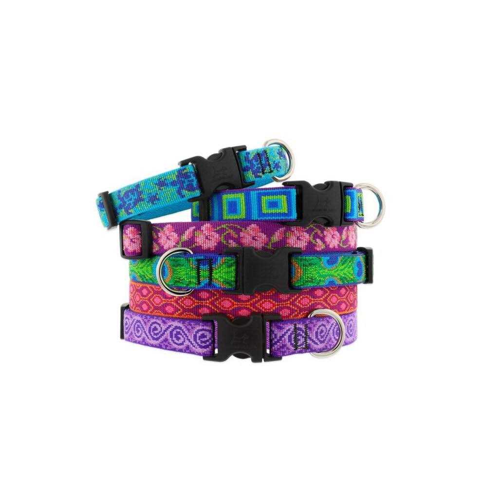 Dog Collar Y874426