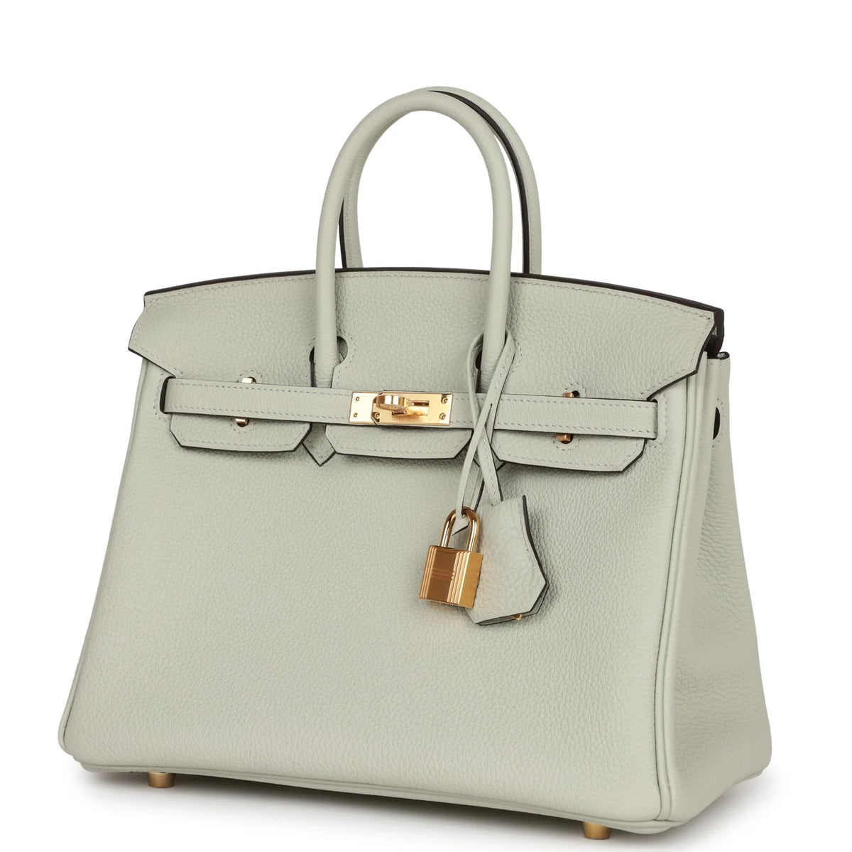 Birkin 25 Togo C739