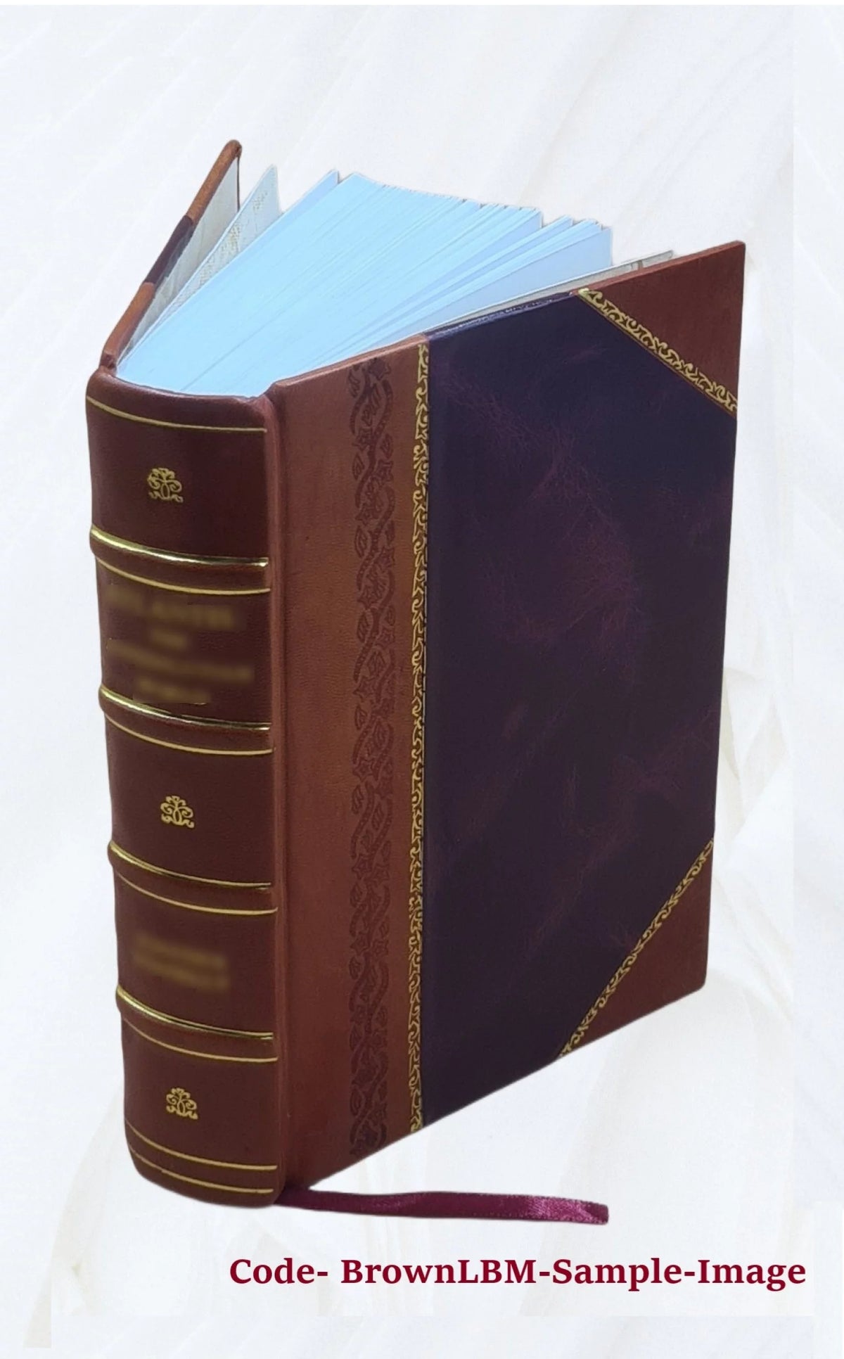 Libros Annalium C. Cornelij Taciti qui extant B394526